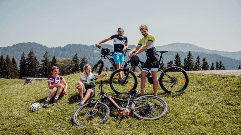 Fewo Alpengloeckchen, Oberstaufen/Steibis Exterior foto